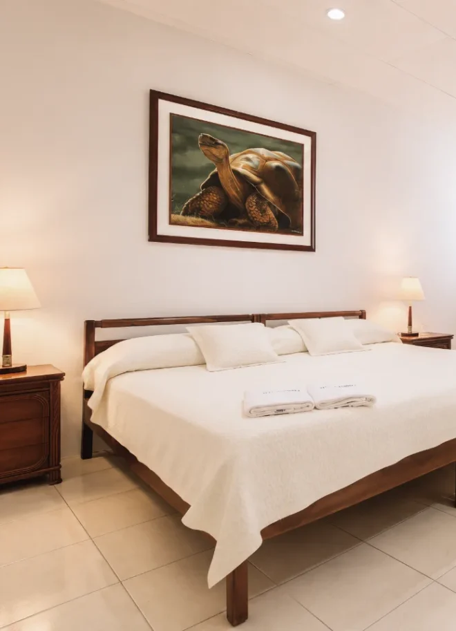 Habitacion Doble Estandar