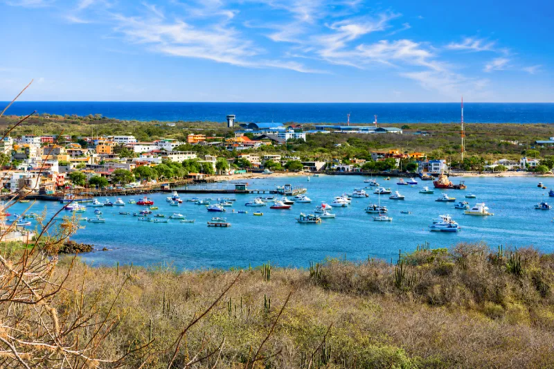 pexels-diego-f-parra-puerto-ayora