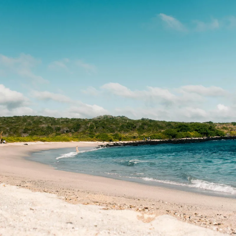 pexels-howland-wu-la-isla